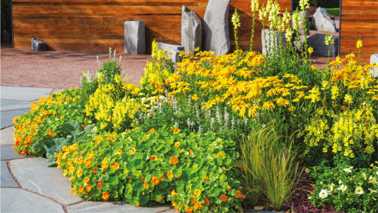 Diferentes tipos de vallas para el jardín que son tendencia actualmente