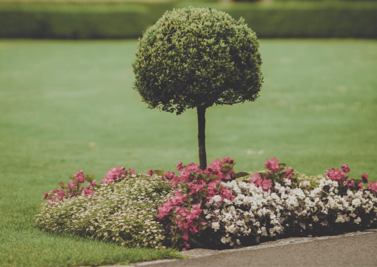 Diseño de jardines y paisajismo en Barcelona. ¿Por qué es importante considerar el espacio vertical?