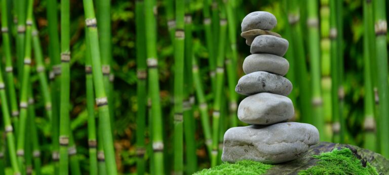 Paisajismo de jardines: cree un oasis adaptado a su presupuesto