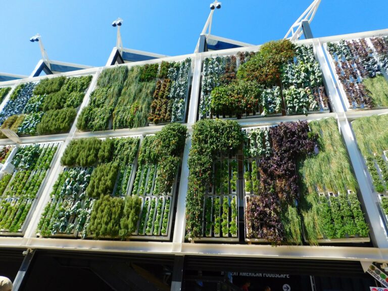 ¿Qué aporta el paisajismo urbano de jardines verticales a las grandes ciudades?