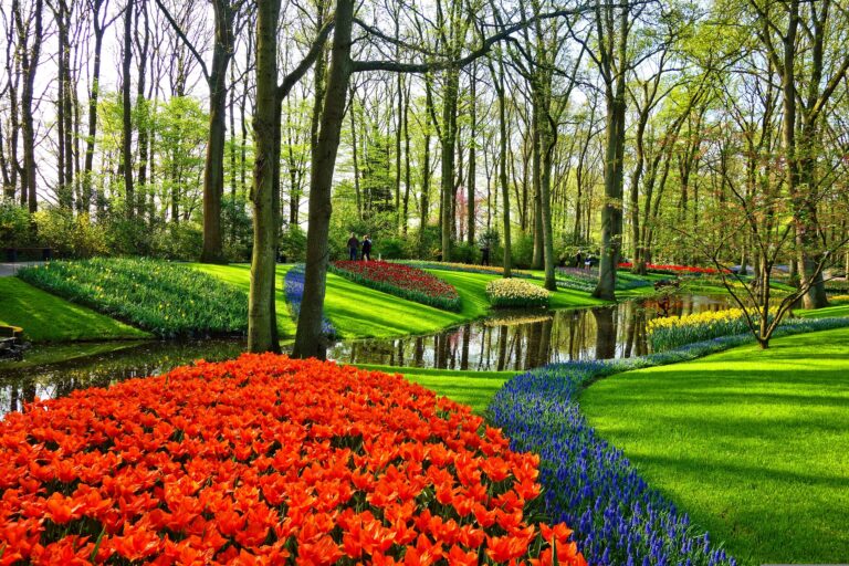 Claves para conseguir el mejor diseño de jardines en Sabadell para tu vivienda
