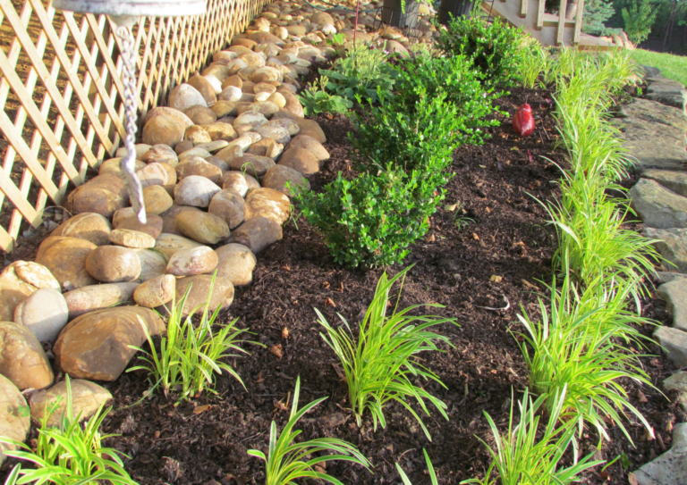 ¿Qué servicios estrella nos puede ofrecer una jardinería en Barcelona?
