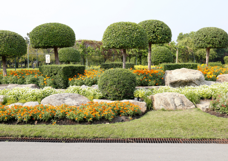 Como crear un paisajismo de jardines de tus sueños