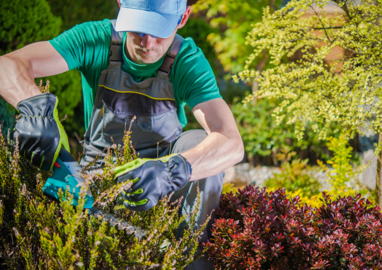 Paisajismo de jardines pequeños: Haz tu jardín, un jardín de ensueño
